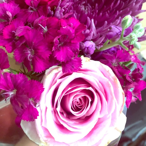 Meet your Posher, Anum - Picture 1 of 1